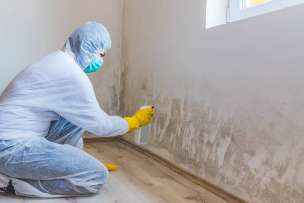 Licensed Mold Remediation service in Garfield, NJ - 24 Hour Mold Removal