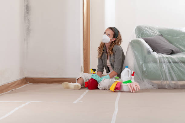 Reliable Mold Remediation contractor in Garfield, NJ by 24 Hour Mold Removal
